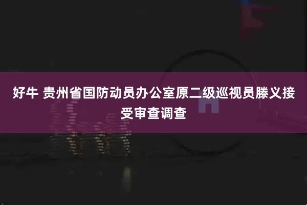 好牛 贵州省国防动员办公室原二级巡视员滕义接受审查调查